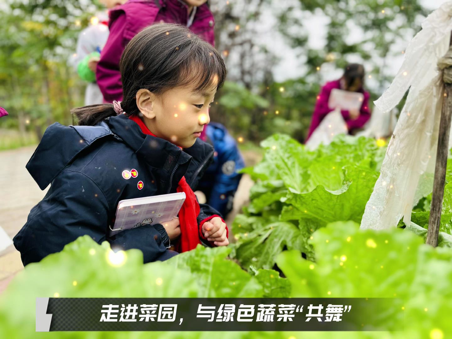 #美好學(xué)校|留校時(shí)光，走出教室，與綠色蔬菜共舞