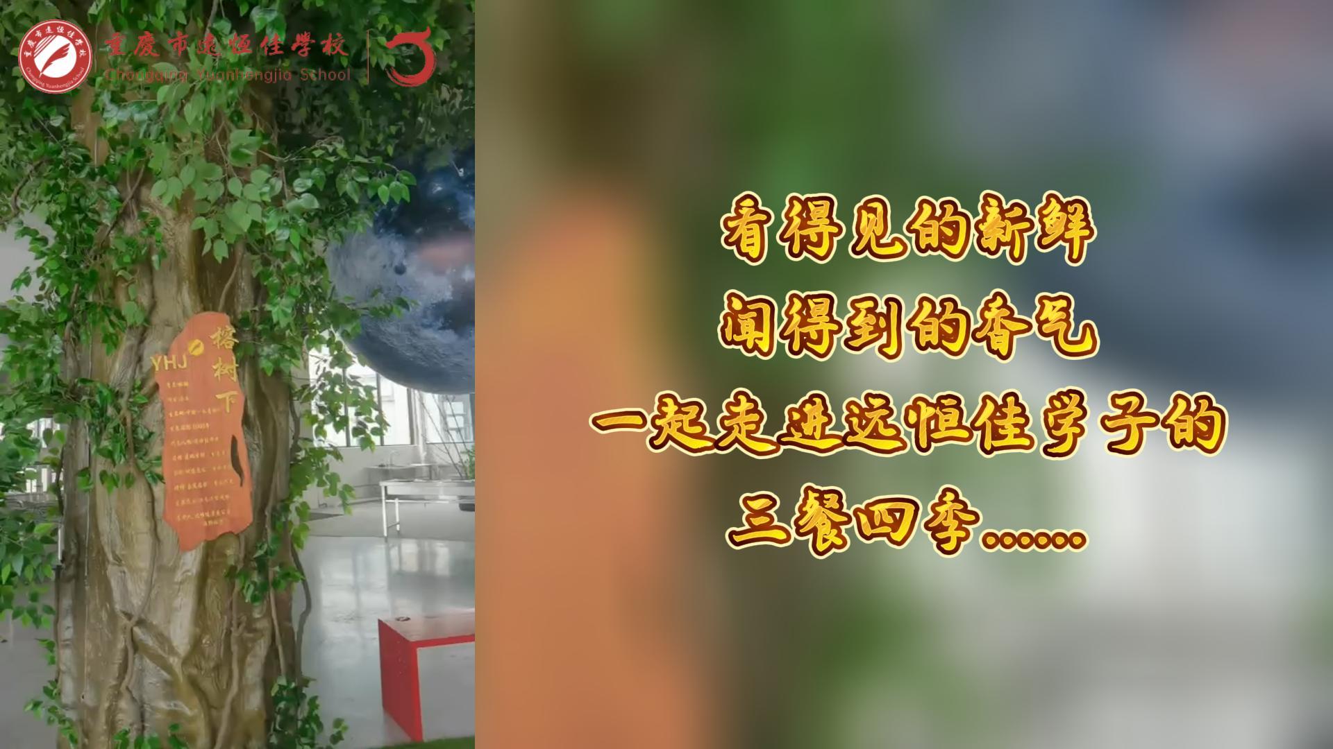 #美好學(xué)校|看得見的新鮮，聞得到的香味，一起走進(jìn)遠(yuǎn)恒佳學(xué)子的三餐四季!